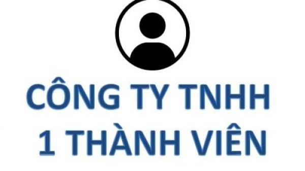 Dịch vụ tư vấn Thành Lập Công ty TNHH 1 TV